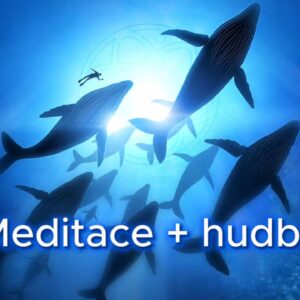 Velryby a delfíni - kompletní meditace + hudba