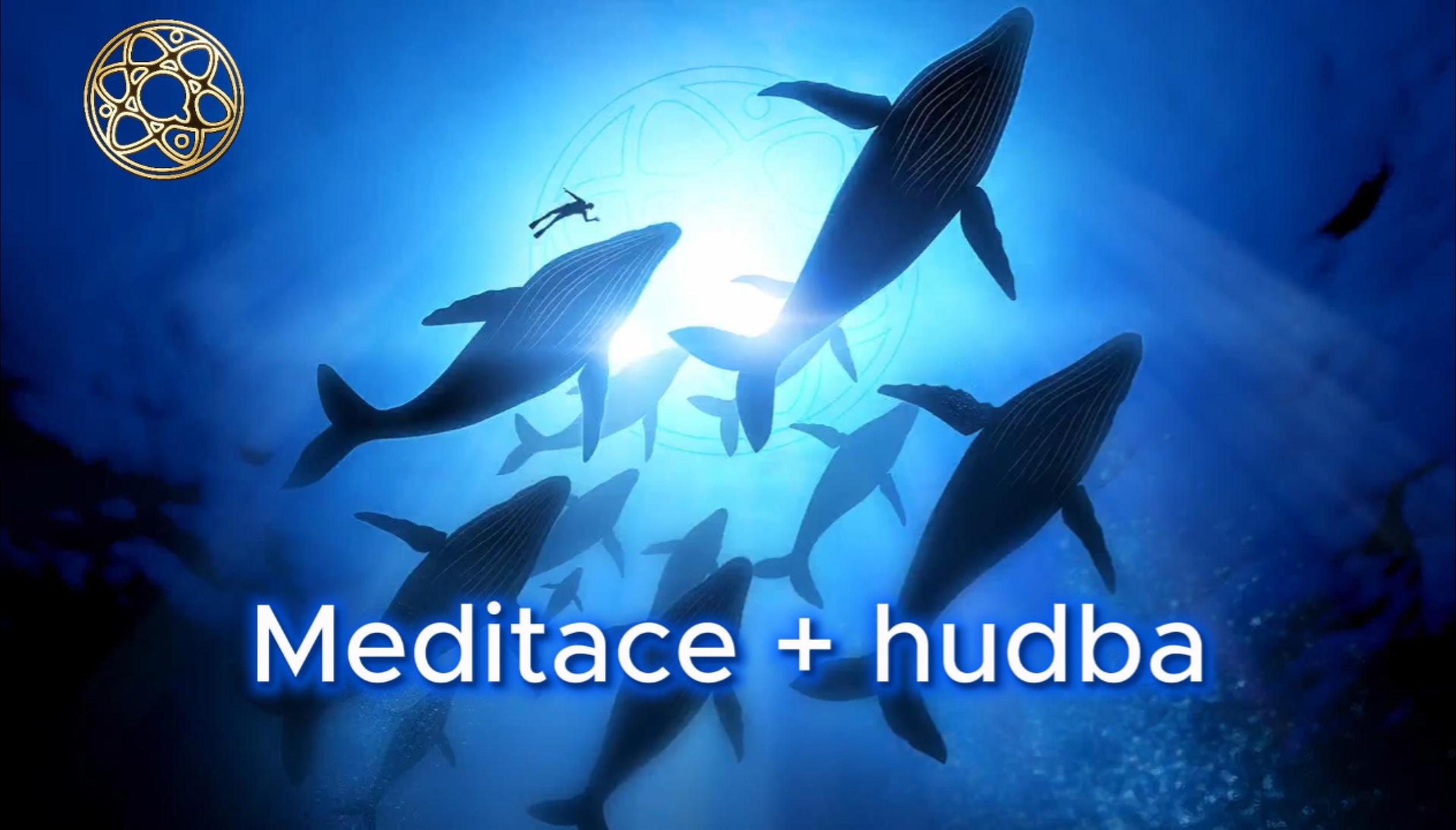 Velryby a delfíni - kompletní meditace + hudba
