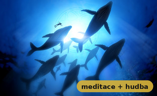 Velryby a delfíni - kompletní meditace + hudba